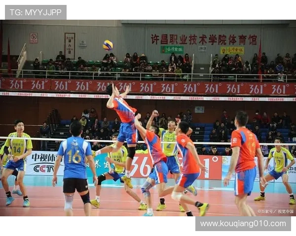 广州排球队的默契配合与战术探讨聚焦排球运动的团队精神与协作技巧