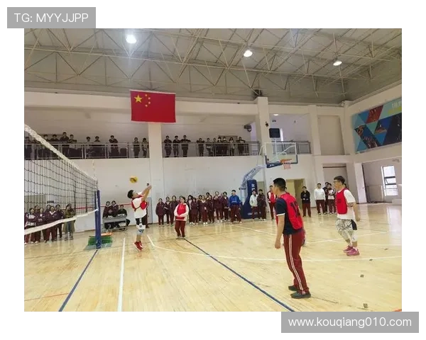 排球盛宴：深入分析西安排球队球员的个人技术与战术素养